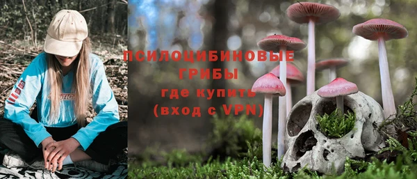 мет Баксан